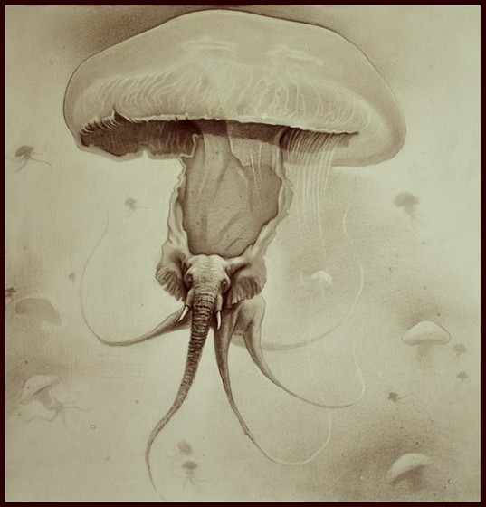 Рисунки: "Ardea"