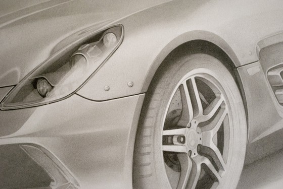 Рисунки: "Ardea"