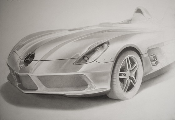 Рисунки: "Ardea"