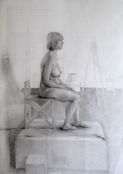 Рисунки: "Ardea"