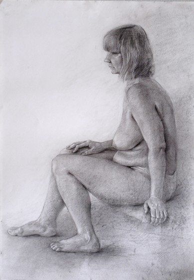 Рисунки: "Ardea"